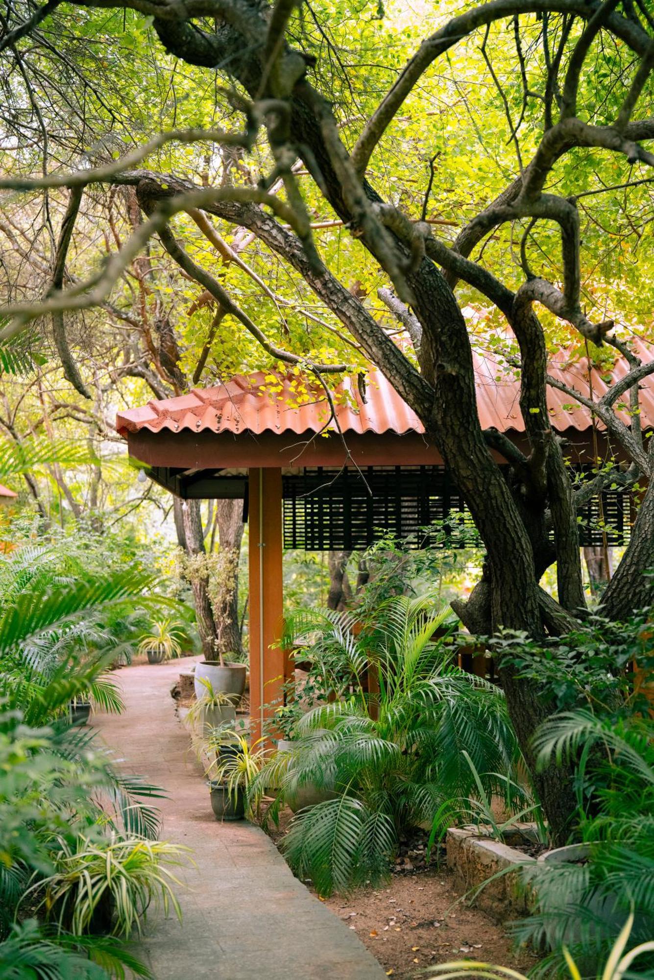 Safari Lodge Yala Катарагама Экстерьер фото