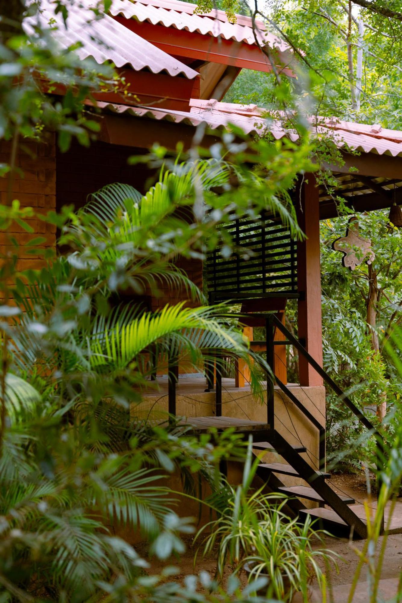 Safari Lodge Yala Катарагама Экстерьер фото