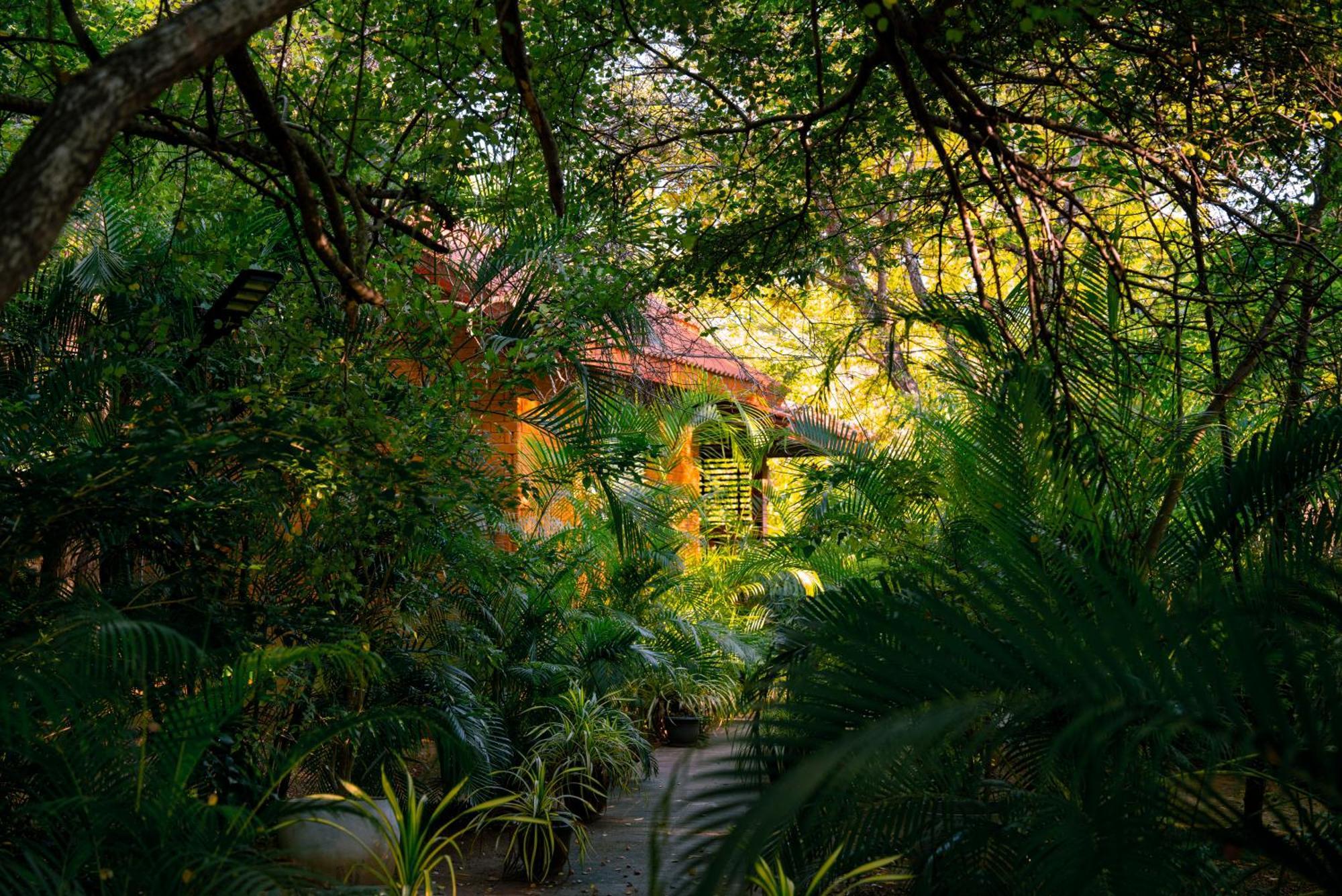 Safari Lodge Yala Катарагама Экстерьер фото