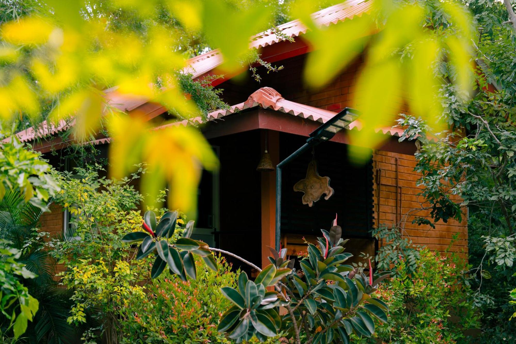 Safari Lodge Yala Катарагама Экстерьер фото