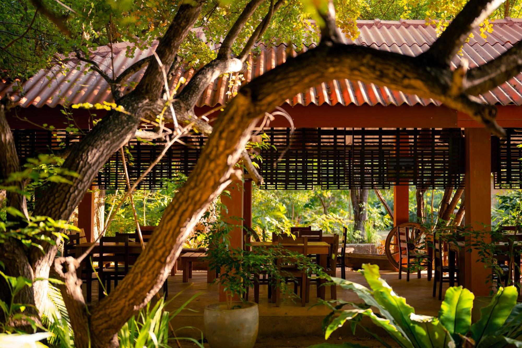 Safari Lodge Yala Катарагама Экстерьер фото