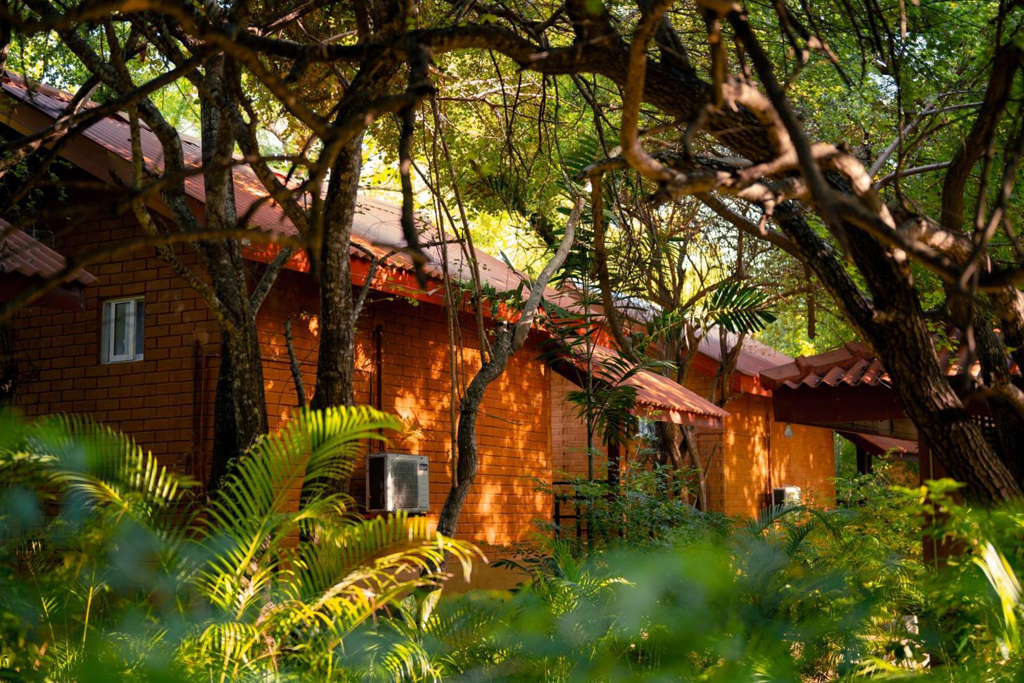 Safari Lodge Yala Катарагама Экстерьер фото