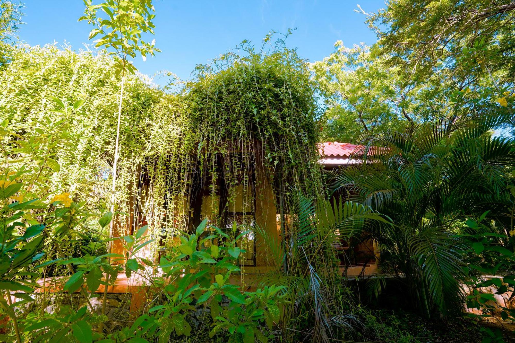 Safari Lodge Yala Катарагама Экстерьер фото