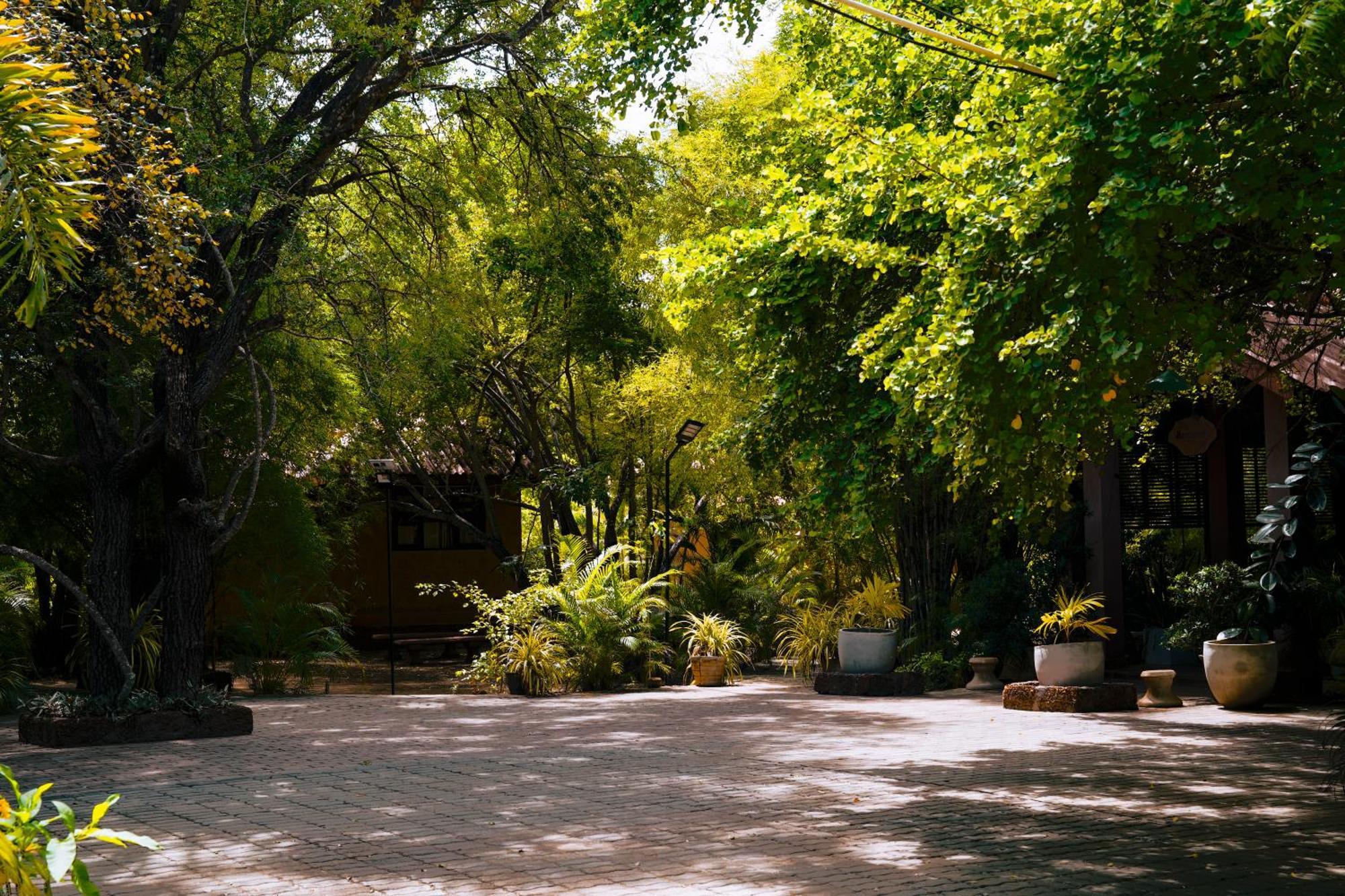 Safari Lodge Yala Катарагама Экстерьер фото