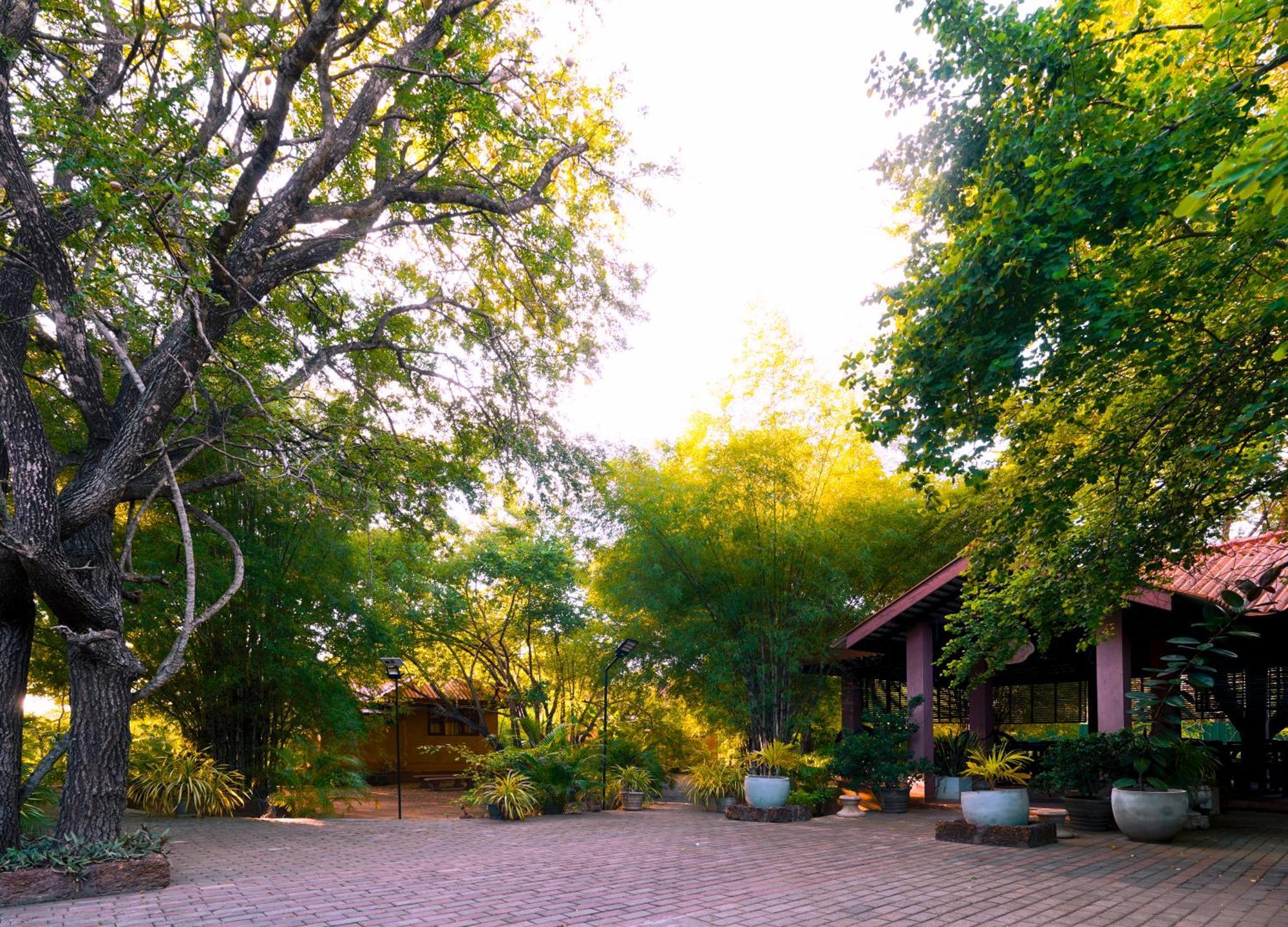 Safari Lodge Yala Катарагама Экстерьер фото
